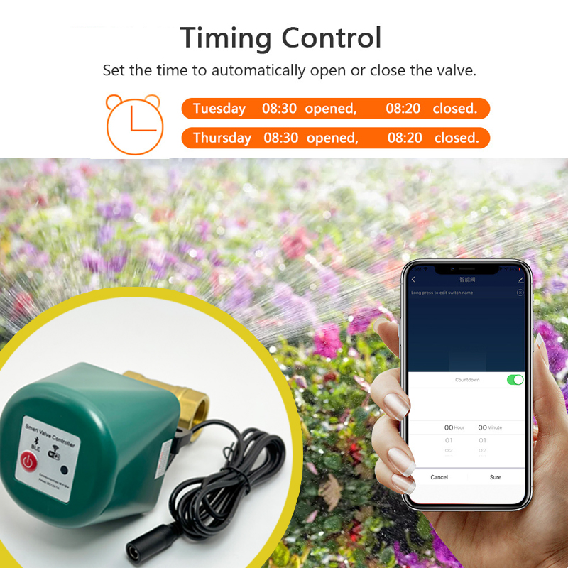 Tuya Zigbee Smart Valve 1/2 3/ - Tuya Zigbee Garden Irrigation Controller ulasan dan harga