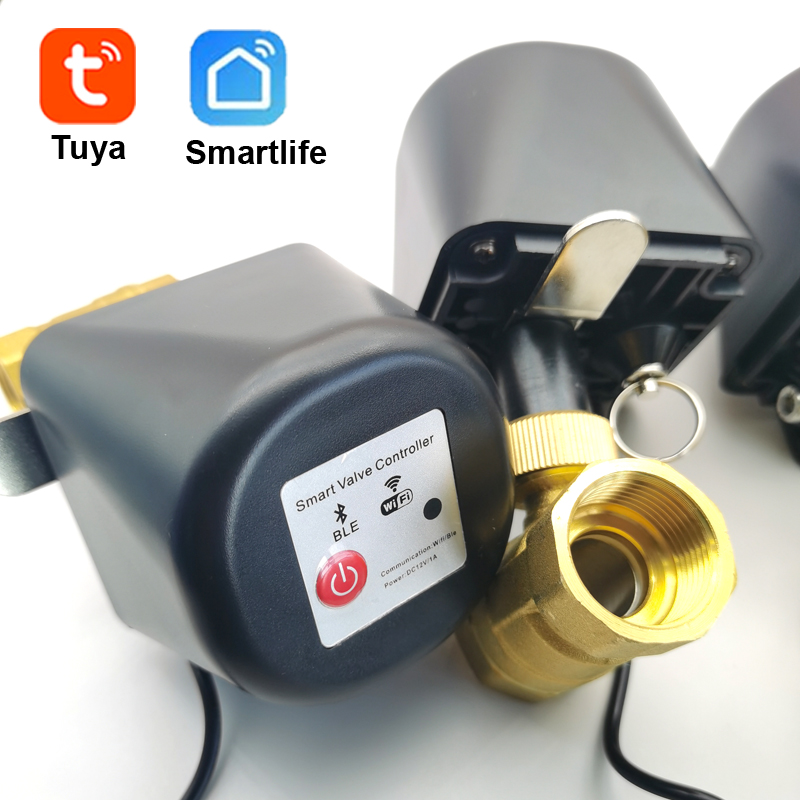 Tuya Zigbee Smart Water Valve  - Tuya Zigbee Garden Irrigation Controller ulasan dan harga