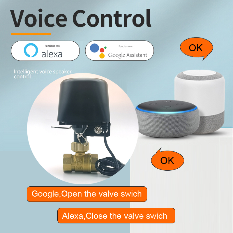 Tuya Zigbee Smart Water Valve  - Tuya Zigbee Garden Irrigation Controller ulasan dan harga