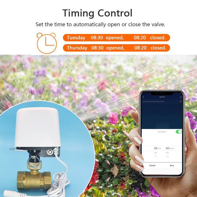 Tuya Wifi Zigbee Water Valve G - Tuya Zigbee Garden Irrigation Controller ulasan dan harga